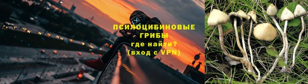 дурь Балахна